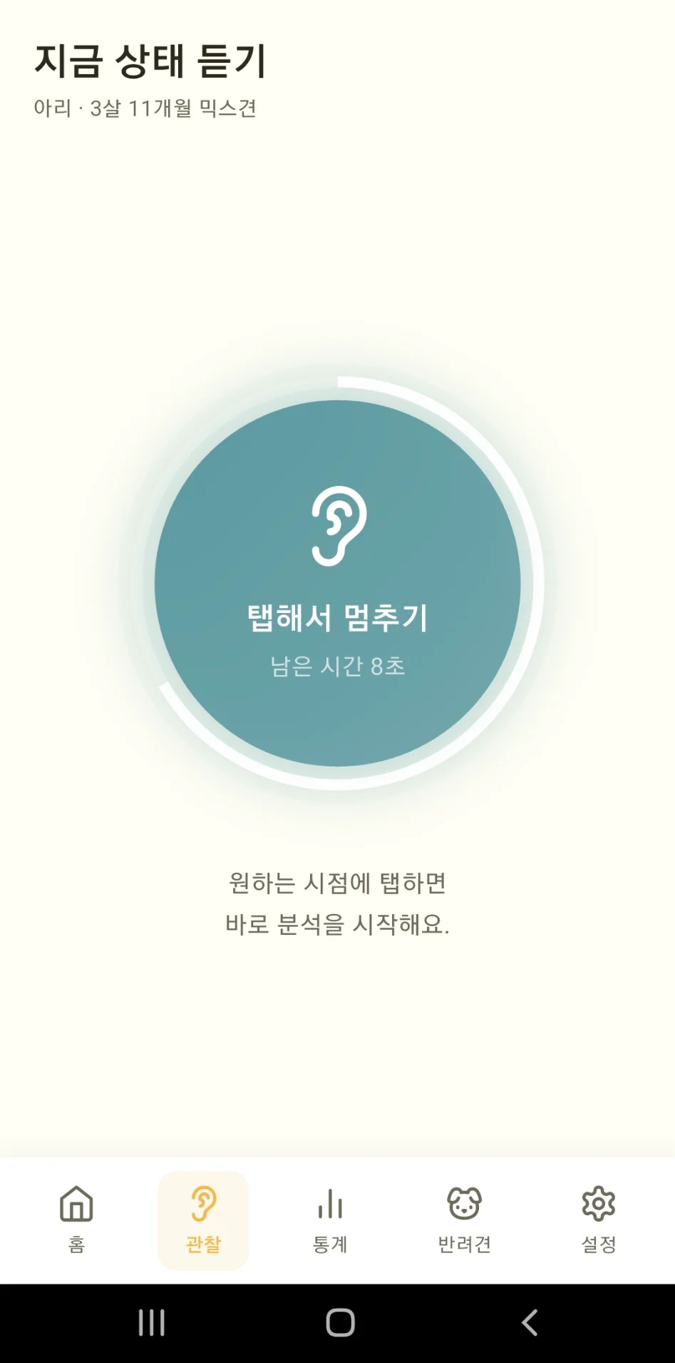 녹음 화면