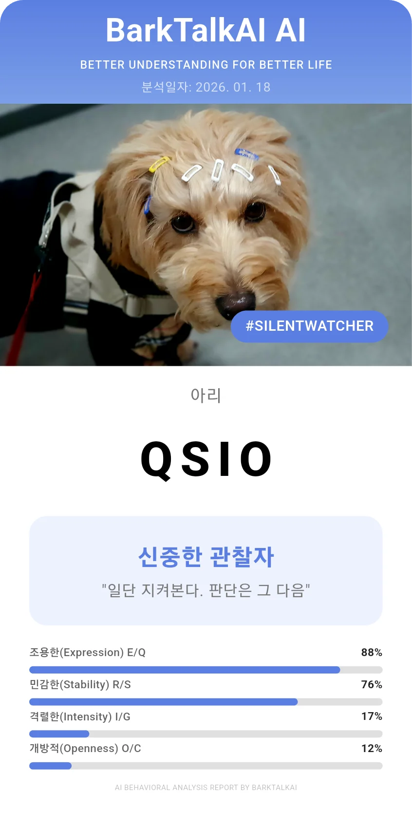 스탠다드 클래식