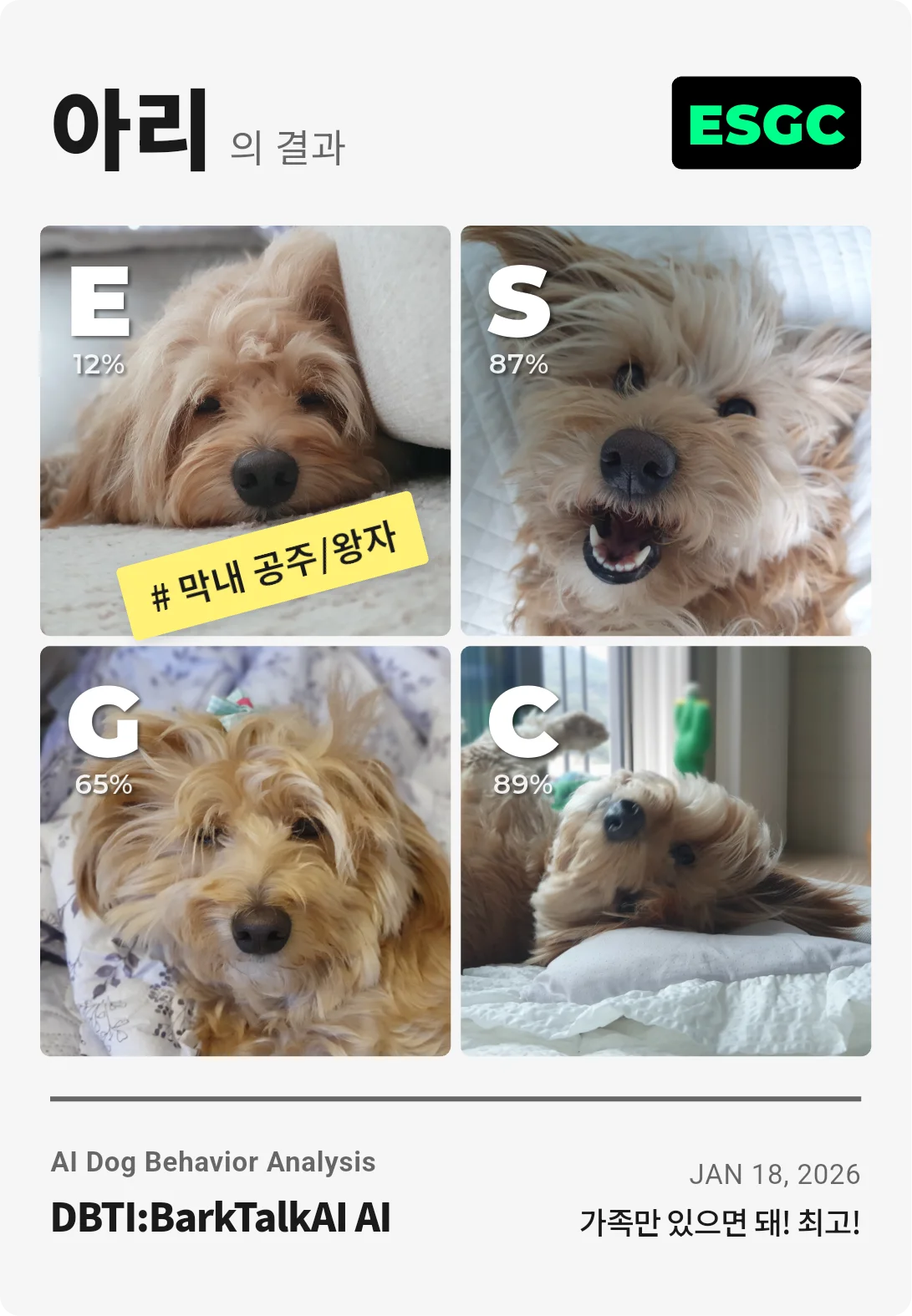 인생네컷 B