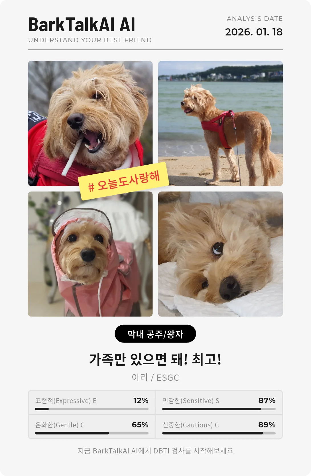 인생네컷 C