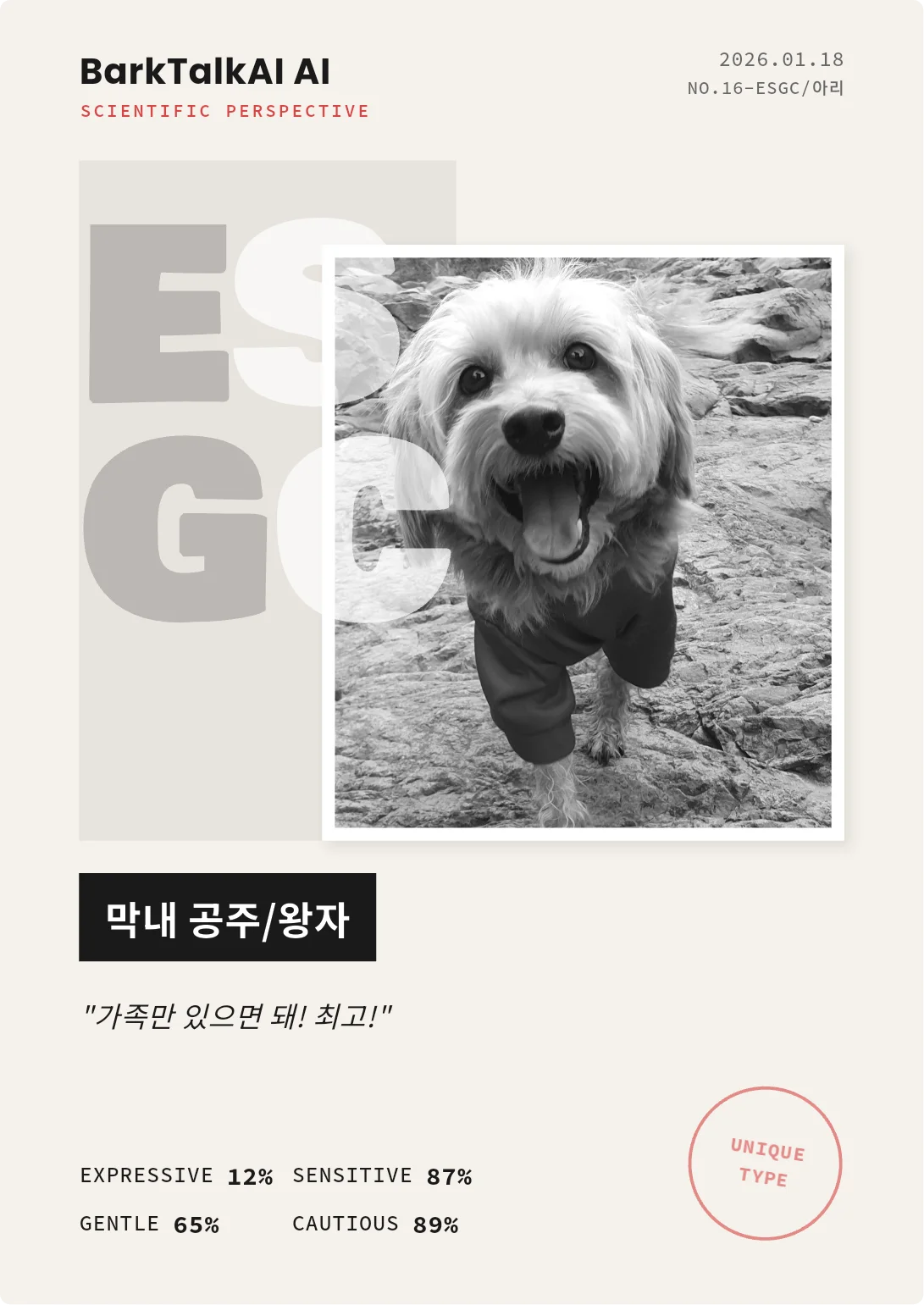 에디토리얼 B