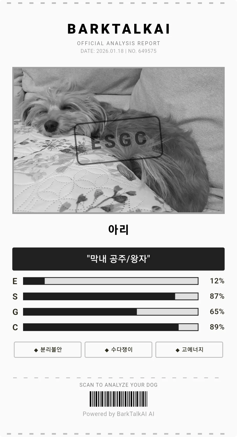 힙한 영수증