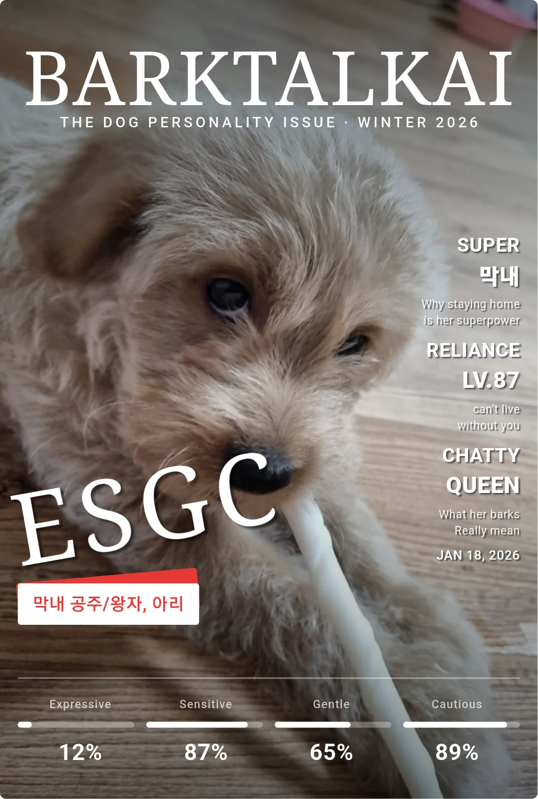매거진 A