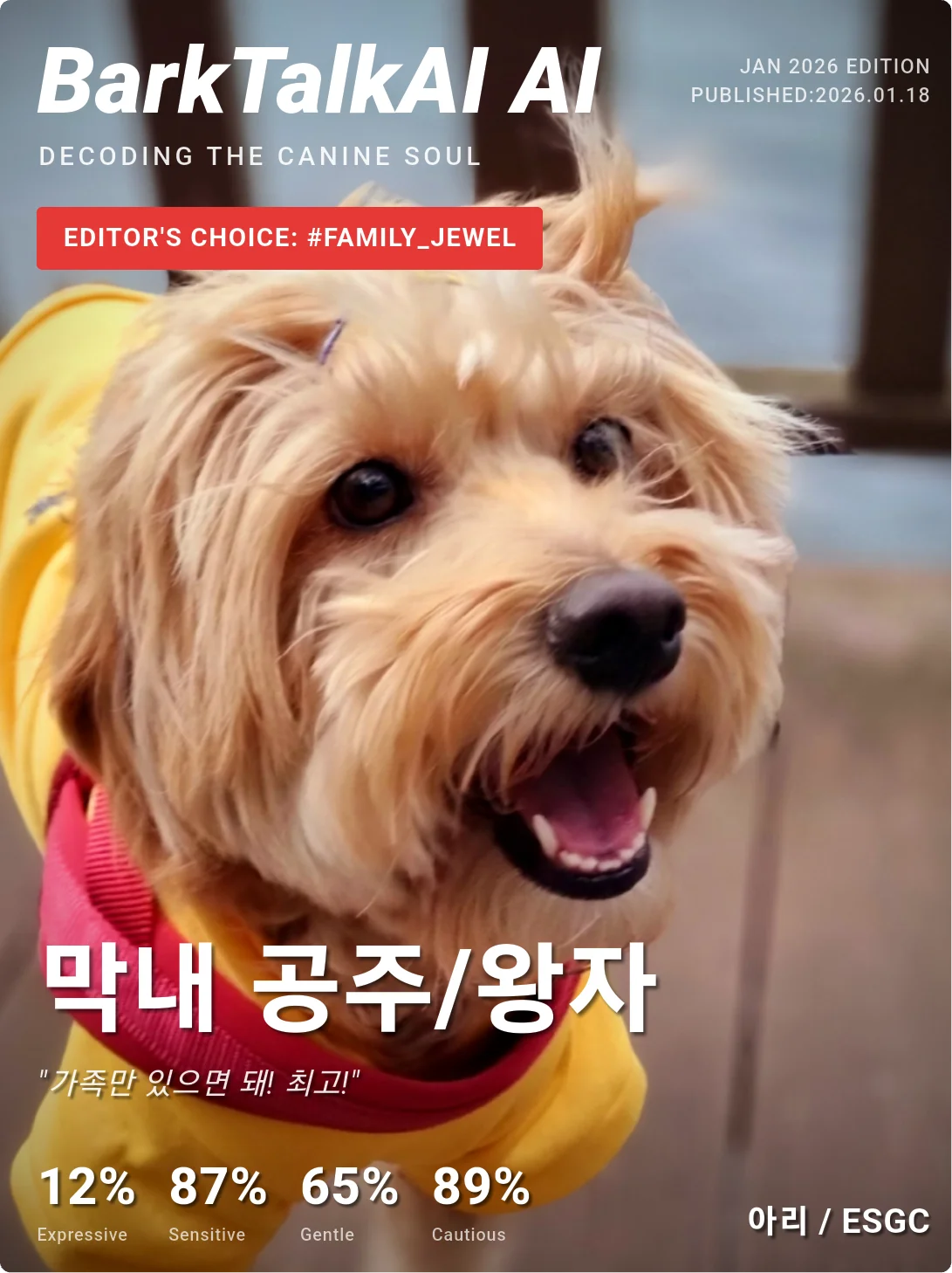 매거진 C