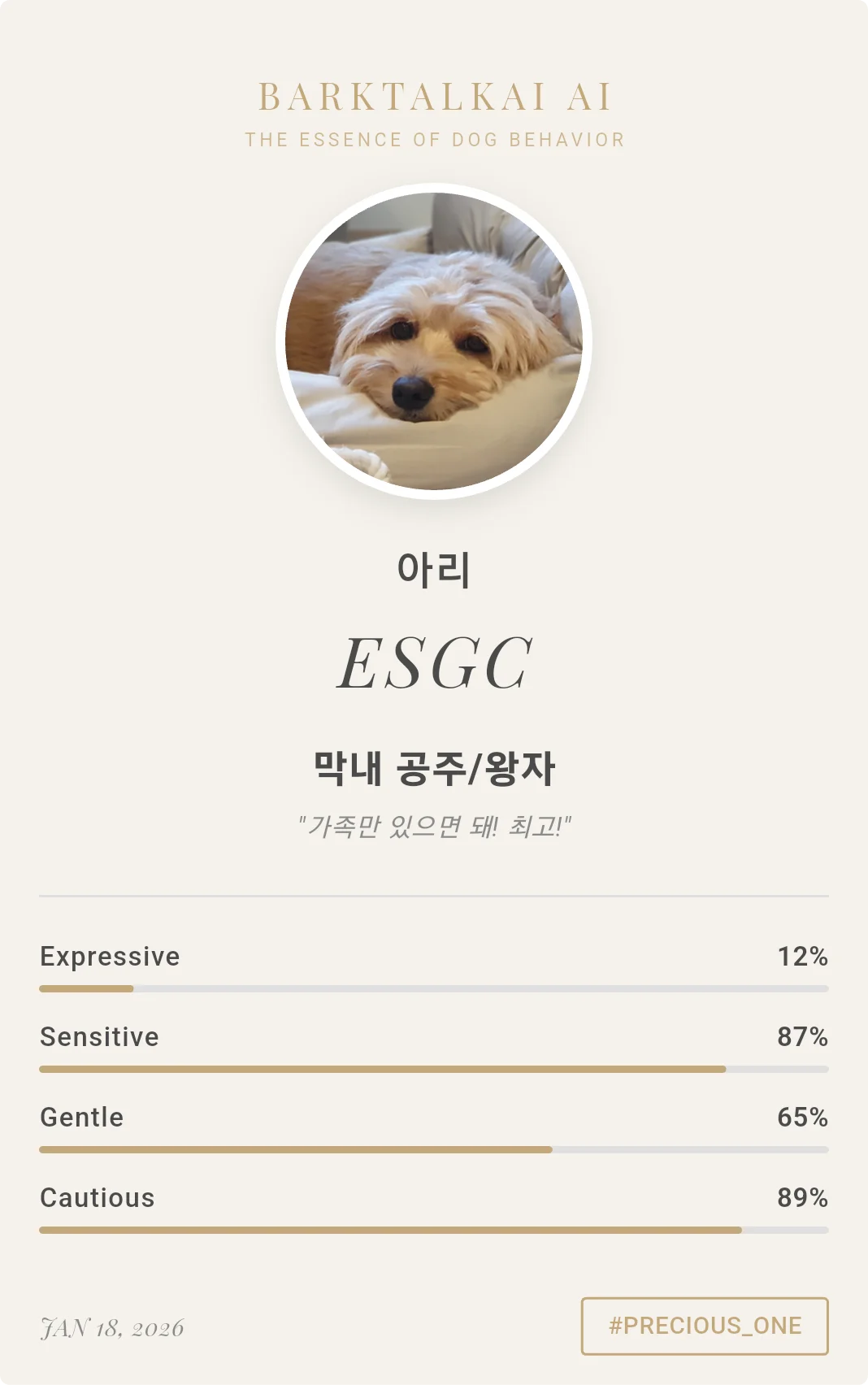 부티크 B