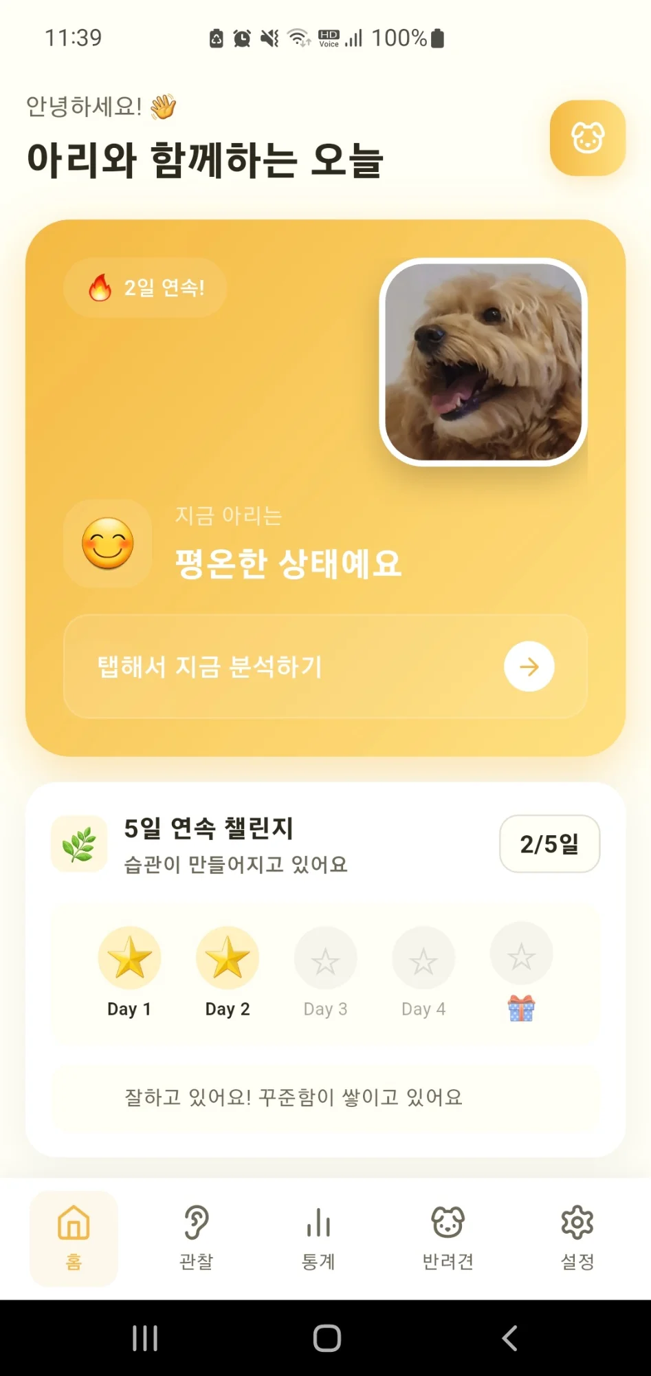 바크톡 AI 홈 화면